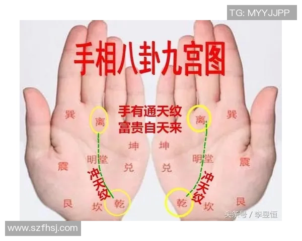 足球明星手相解析揭秘男足球员的命运与性格特征