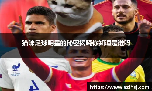 猫咪足球明星的秘密揭晓你知道是谁吗